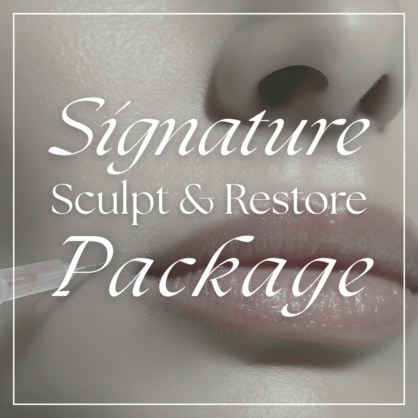 Sculpt & Restore Icon